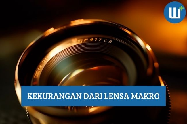 Inilah Kekurangan dari Lensa Makro